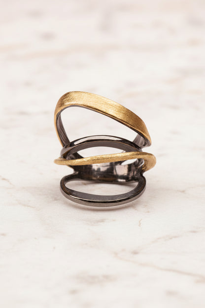 Two intertwined rings, one gold and one black, on a white background